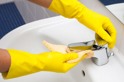 Detecting hidden pet stains and smells with UV light