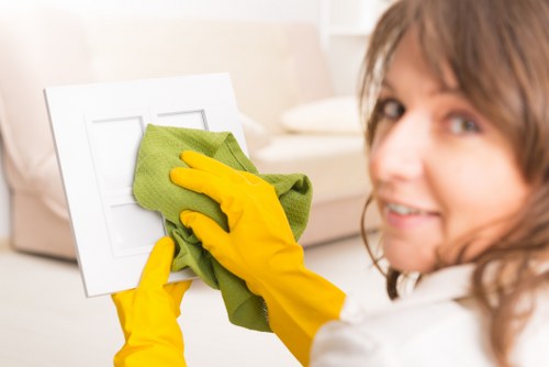 Dust and allergens removed from curtains during Falconwood cleaning